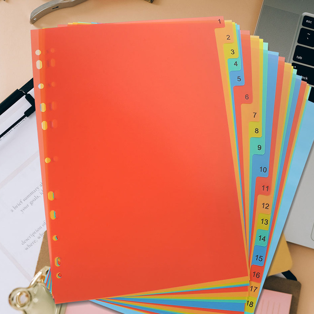 2 sets File Organizer Document - Tab Divider A4 ulasan dan harga