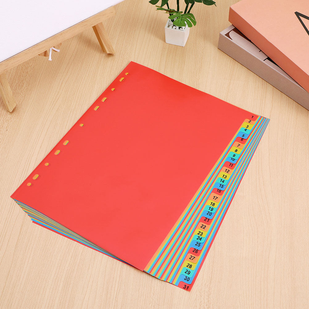 2Sets A4 Plastic Index Page Di - Tab Divider A4 ulasan dan harga